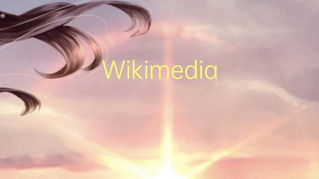 Wikimedia Foundation是什么意思 Wikimedia Foundation的读音、翻译、用法