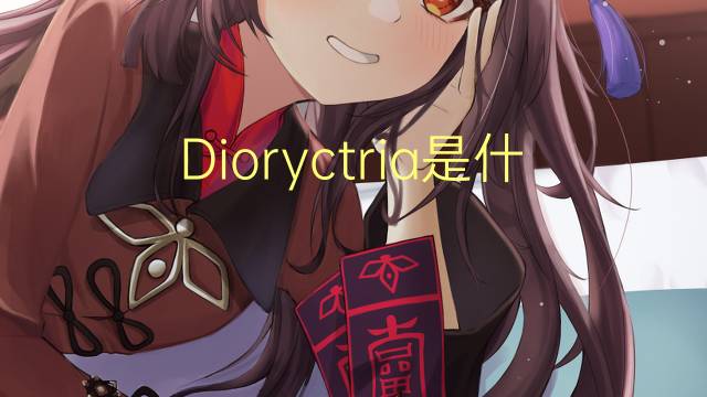 Dioryctria是什么意思 Dioryctria的读音、翻译、用法