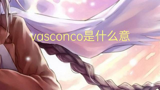 vasconco是什么意思 vasconco的读音、翻译、用法