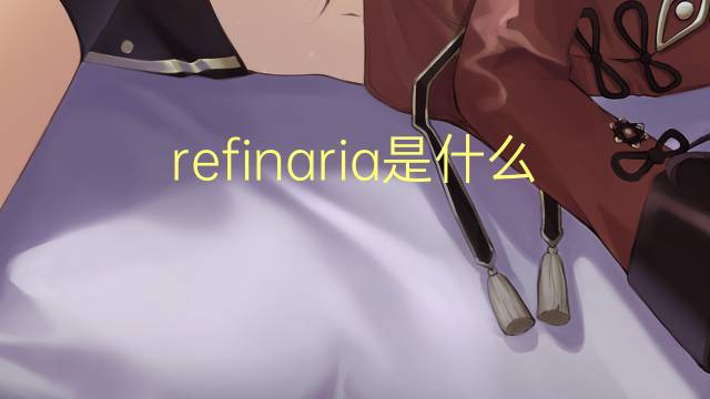 refinaria是什么意思 refinaria的读音、翻译、用法