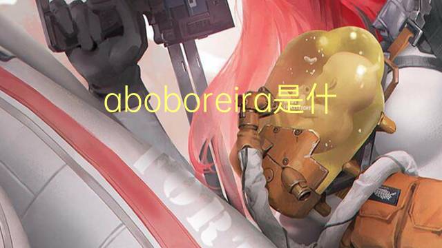 aboboreira是什么意思 aboboreira的读音、翻译、用法