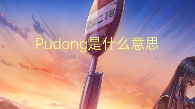 Pudong是什么意思 Pudong的读音、翻译、用法