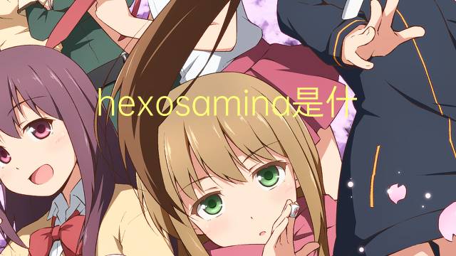 hexosamina是什么意思 hexosamina的读音、翻译、用法