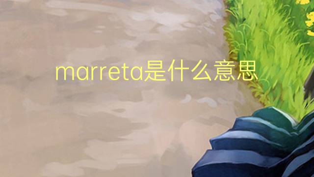 marreta是什么意思 marreta的读音、翻译、用法