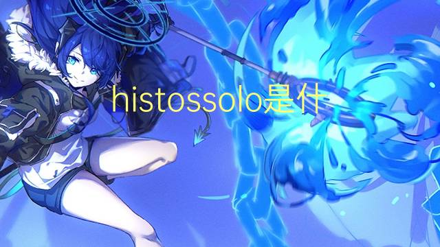 histossolo是什么意思 histossolo的读音、翻译、用法