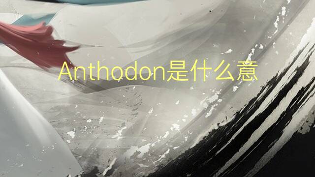 Anthodon是什么意思 Anthodon的读音、翻译、用法