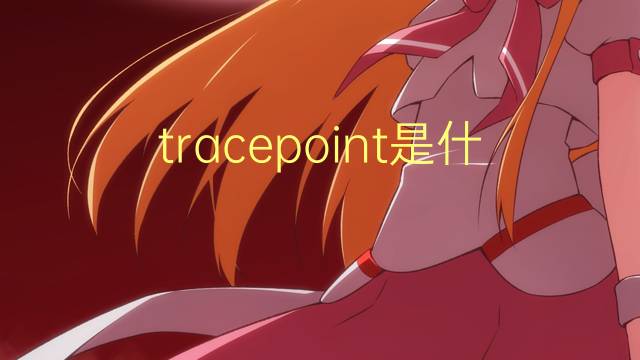 tracepoint是什么意思 tracepoint的读音、翻译、用法