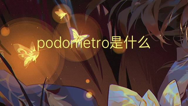 podometro是什么意思 podometro的读音、翻译、用法