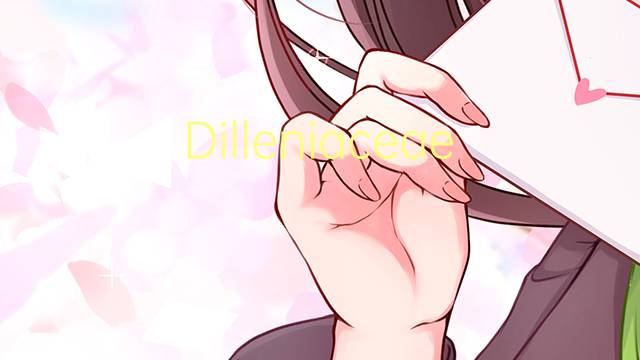 Dilleniaceae是什么意思 Dilleniaceae的读音、翻译、用法