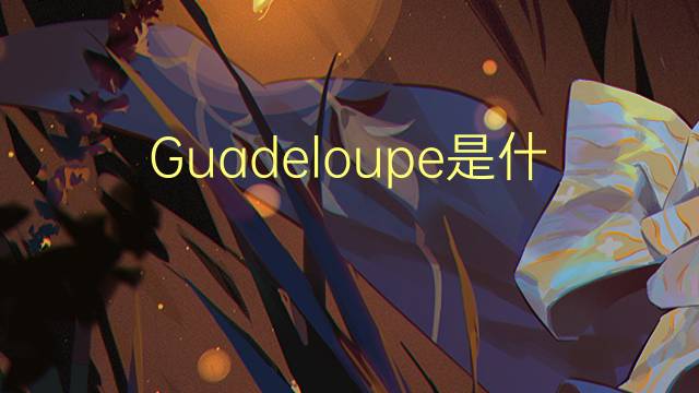 Guadeloupe是什么意思 Guadeloupe的读音、翻译、用法