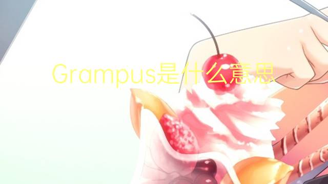 Grampus是什么意思 Grampus的读音、翻译、用法