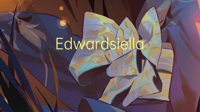 Edwardsiella是什么意思 Edwardsiella的读音、翻译、用法