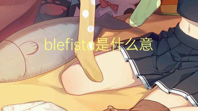 blefista是什么意思 blefista的读音、翻译、用法