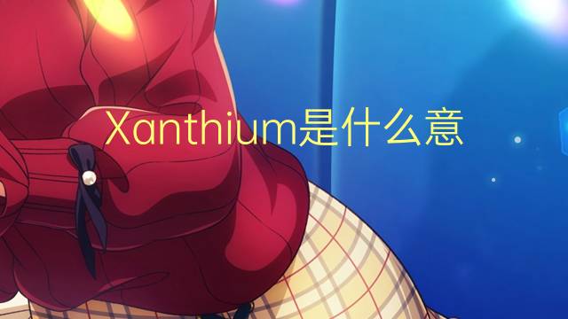 Xanthium是什么意思 Xanthium的读音、翻译、用法