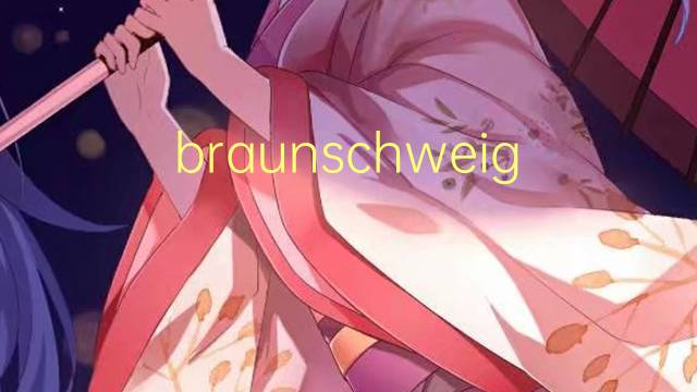 braunschweig是什么意思 braunschweig的读音、翻译、用法