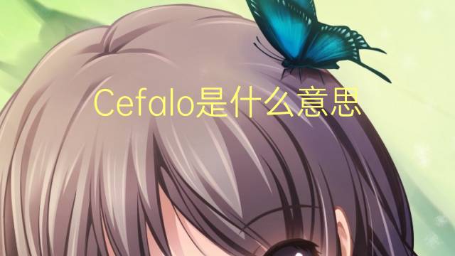 Cefalo是什么意思 Cefalo的读音、翻译、用法