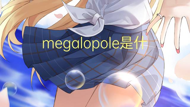 megalopole是什么意思 megalopole的读音、翻译、用法