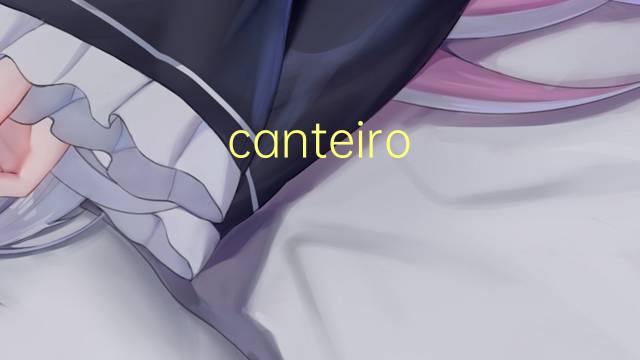 canteiro de flores是什么意思 canteiro de flores的读音、翻译、用法