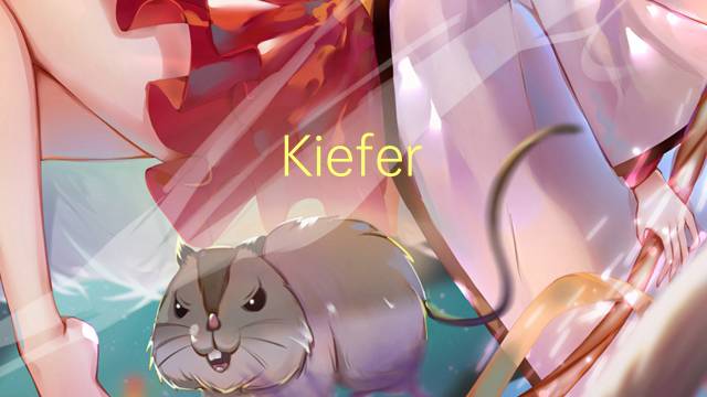 Kiefer Sutherland是什么意思 Kiefer Sutherland的读音、翻译、用法