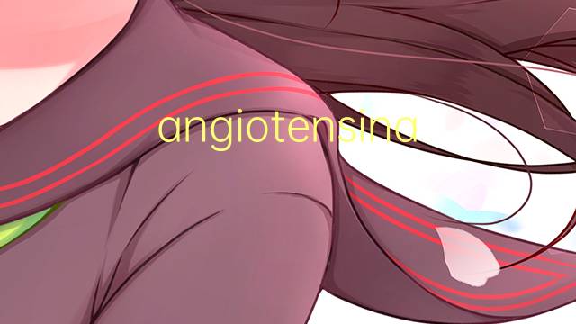 angiotensina ii是什么意思 angiotensina ii的读音、翻译、用法