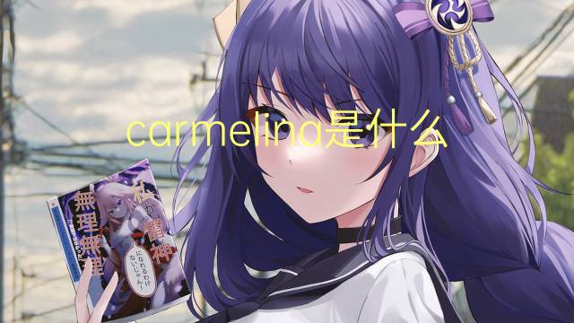 carmelina是什么意思 carmelina的读音、翻译、用法