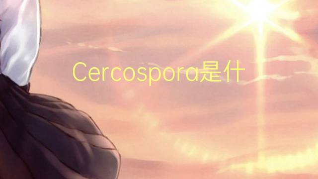 Cercospora是什么意思 Cercospora的读音、翻译、用法