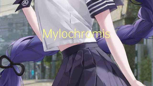 Mylochromis mollis是什么意思 Mylochromis mollis的读音、翻译、用法