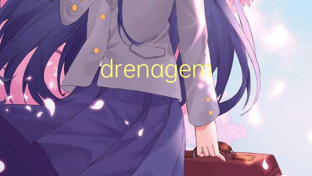 drenagem profunda是什么意思 drenagem profunda的读音、翻译、用法