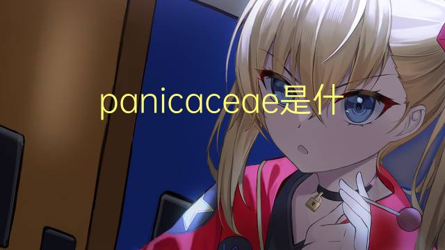 panicaceae是什么意思 panicaceae的读音、翻译、用法