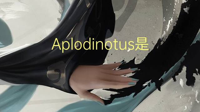 Aplodinotus是什么意思 Aplodinotus的读音、翻译、用法