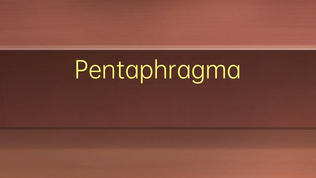 Pentaphragmataceae是什么意思 Pentaphragmataceae的读音、翻译、用法