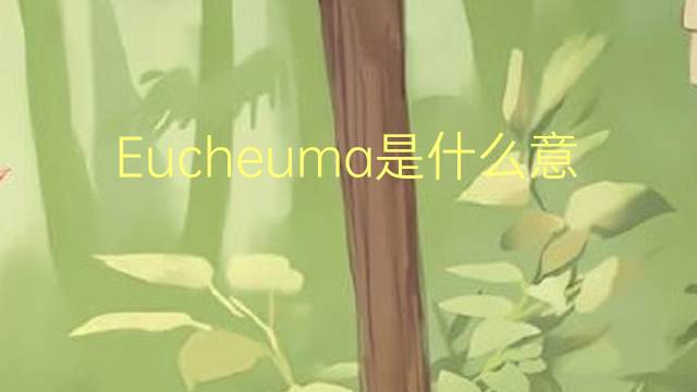 Eucheuma是什么意思 Eucheuma的读音、翻译、用法