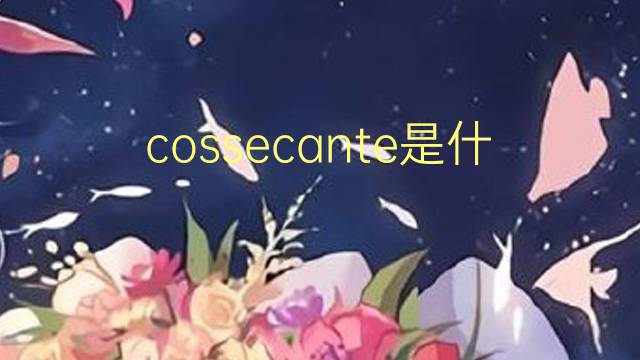 cossecante是什么意思 cossecante的读音、翻译、用法