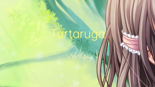 Tartaruga-aligator是什么意思 Tartaruga-aligator的读音、翻译、用法