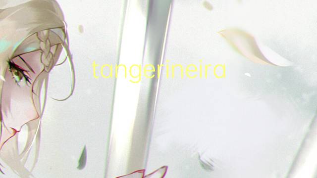 tangerineira是什么意思 tangerineira的读音、翻译、用法