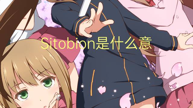 Sitobion是什么意思 Sitobion的读音、翻译、用法