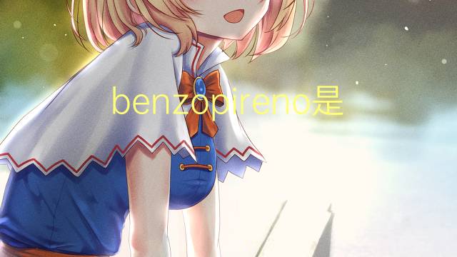 benzopireno是什么意思 benzopireno的读音、翻译、用法