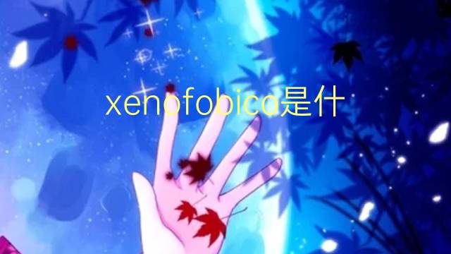 xenofobico是什么意思 xenofobico的读音、翻译、用法