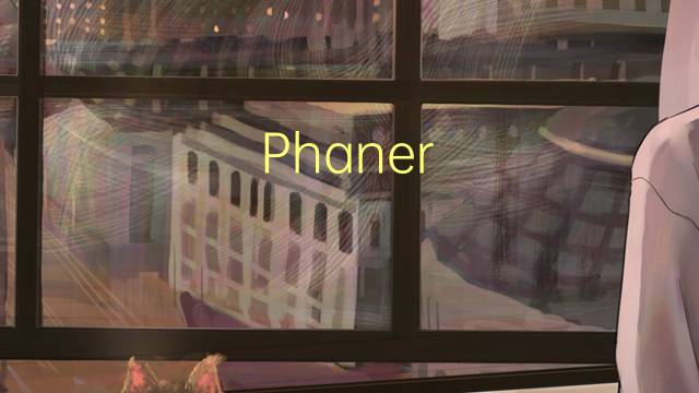 Phaner furcifer是什么意思 Phaner furcifer的读音、翻译、用法