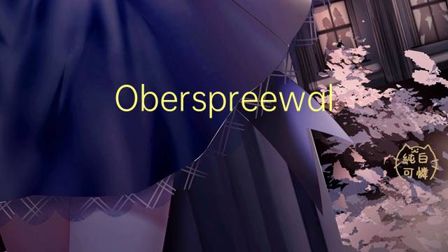 Oberspreewald-Lausitz是什么意思 Oberspreewald-Lausitz的读音、翻译、用法