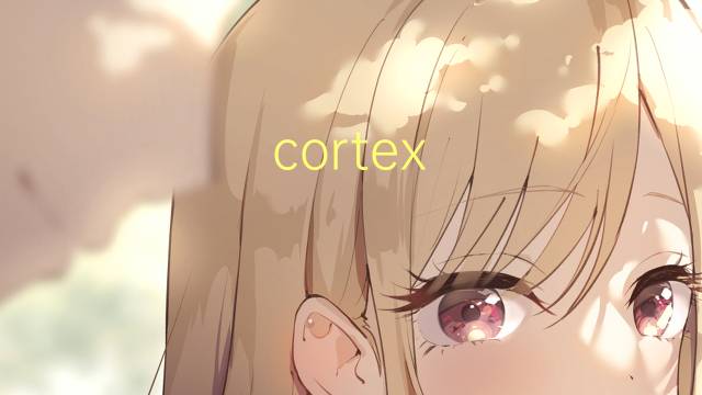 cortex adrenal是什么意思 cortex adrenal的读音、翻译、用法