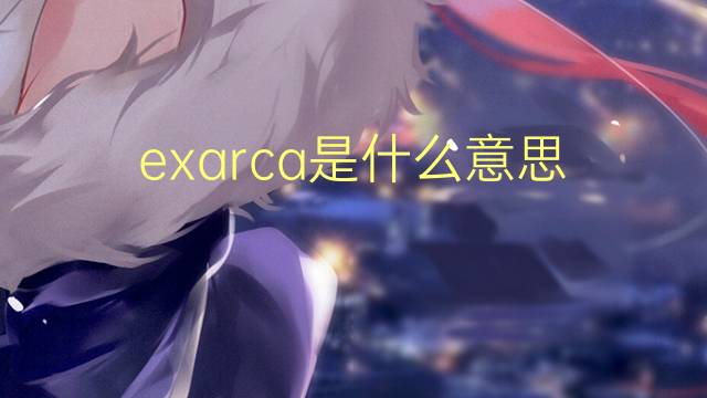 exarca是什么意思 exarca的读音、翻译、用法