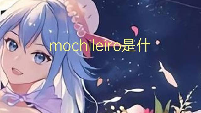 mochileiro是什么意思 mochileiro的读音、翻译、用法