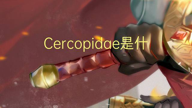Cercopidae是什么意思 Cercopidae的读音、翻译、用法