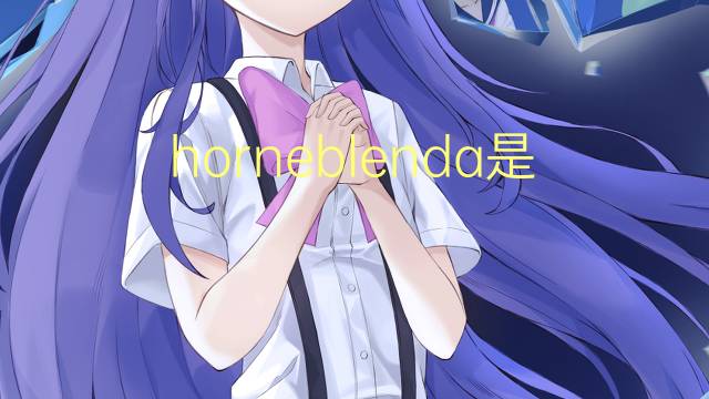 horneblenda是什么意思 horneblenda的读音、翻译、用法