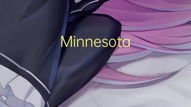 Minnesota Twins是什么意思 Minnesota Twins的读音、翻译、用法