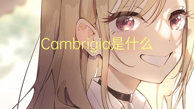 Cambrigia是什么意思 Cambrigia的读音、翻译、用法