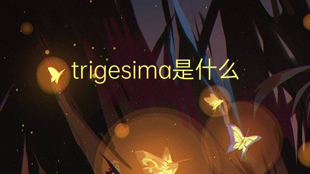 trigesima是什么意思 trigesima的读音、翻译、用法