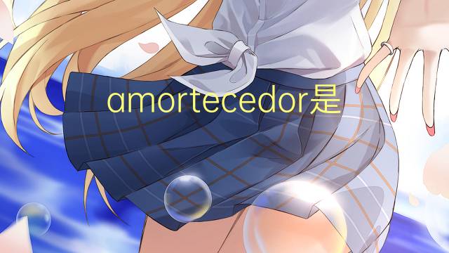 amortecedor是什么意思 amortecedor的读音、翻译、用法