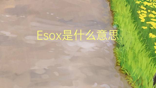 Esox是什么意思 Esox的读音、翻译、用法